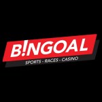 Logo van Bingoal Casino België