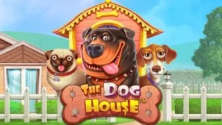 The Dog House